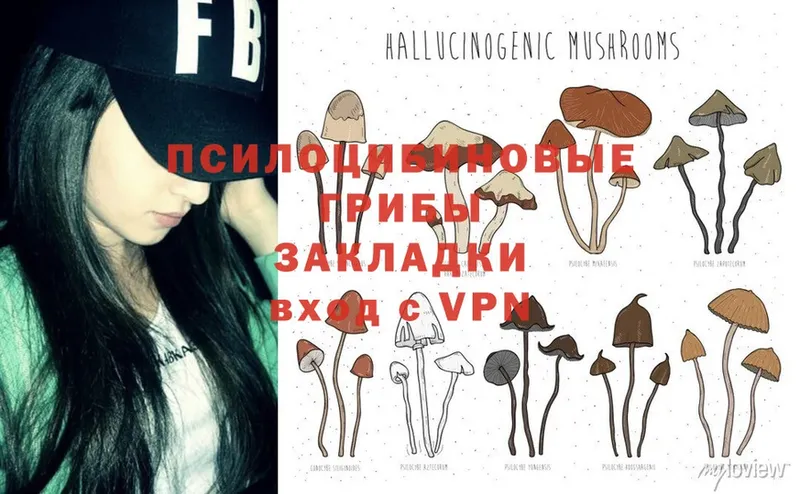 Галлюциногенные грибы Psilocybine cubensis  Майский 